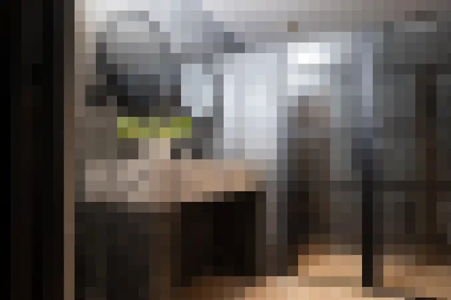 Rabarberstraat 7 Den Haag thumbnail 9