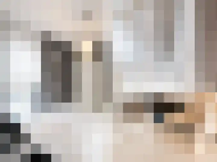 Rabarberveld 15 Berghem thumbnail 23