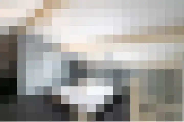 Rabarberveld 15 Berghem thumbnail 25