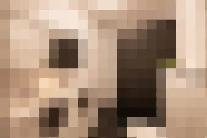 Rabarberveld 15 Berghem thumbnail 26