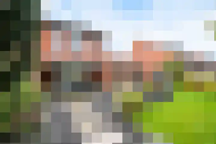 Rabarberveld 15 Berghem thumbnail 4