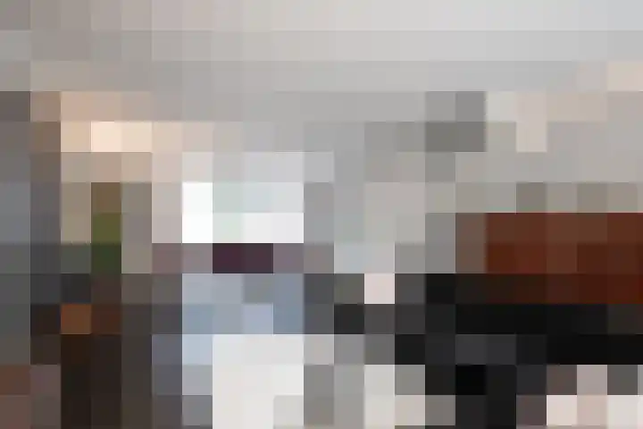 Rabarberveld 15 Berghem thumbnail 9