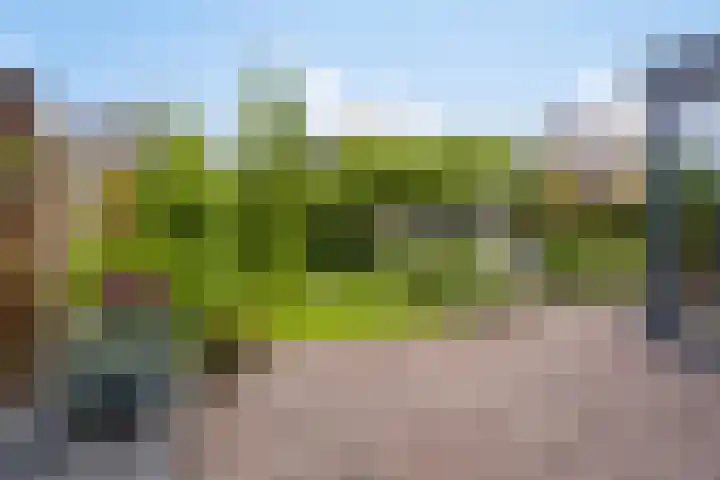 Rabarberveld 21 Berghem thumbnail 23