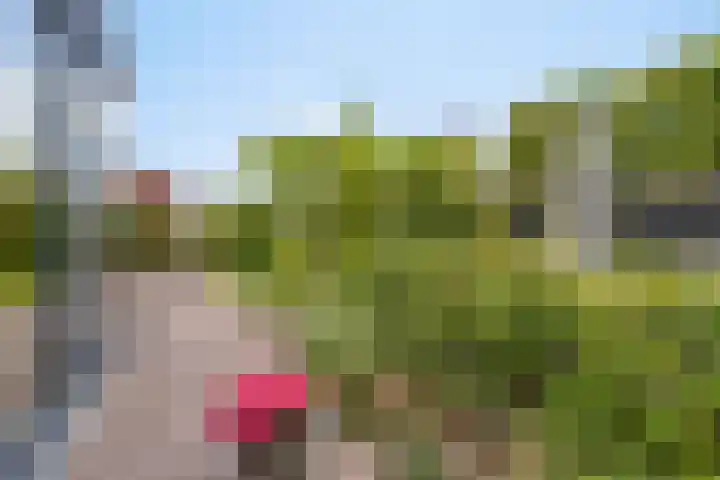Rabarberveld 21 Berghem thumbnail 24