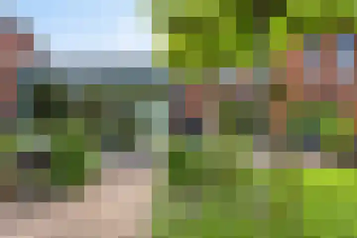 Rabarberveld 21 Berghem thumbnail 26