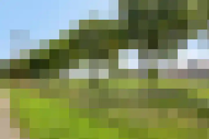 Rabarberveld 21 Berghem thumbnail 28