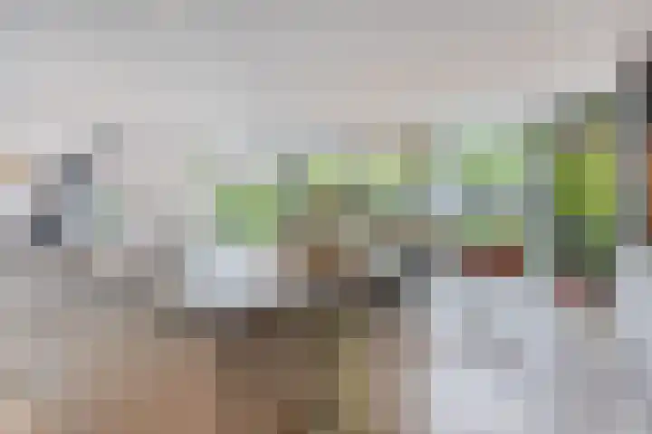 Rabarberveld 21 Berghem thumbnail 5