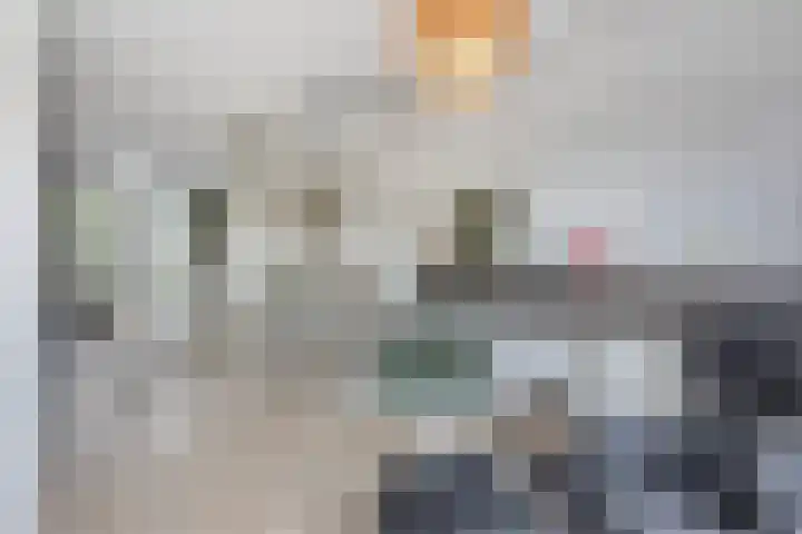 Rabarberveld 21 Berghem thumbnail 8