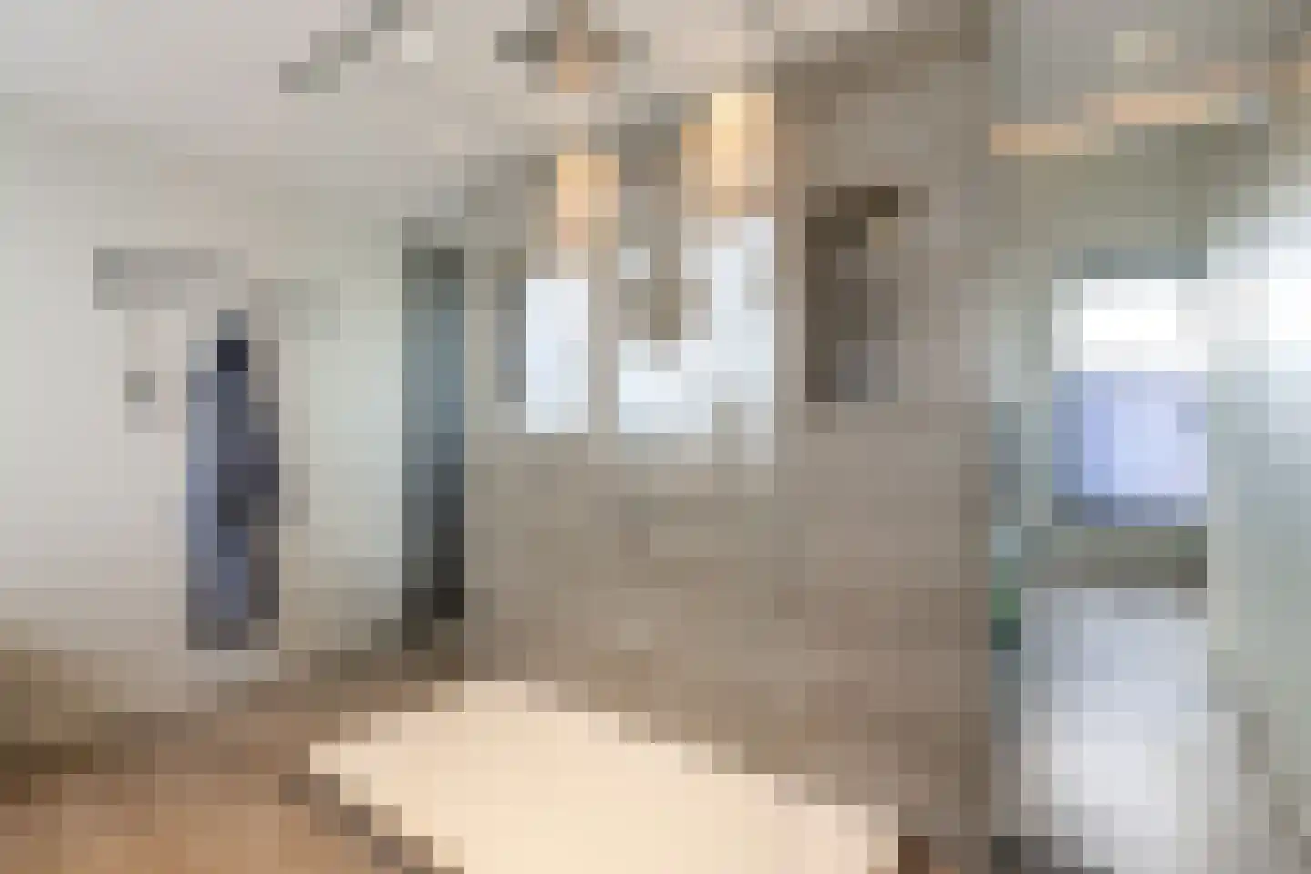 Rabarberveld 33 Berghem thumbnail 21