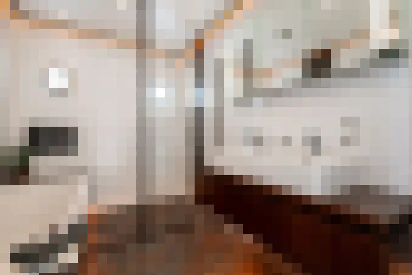 Rabarberveld 33 Berghem thumbnail 22