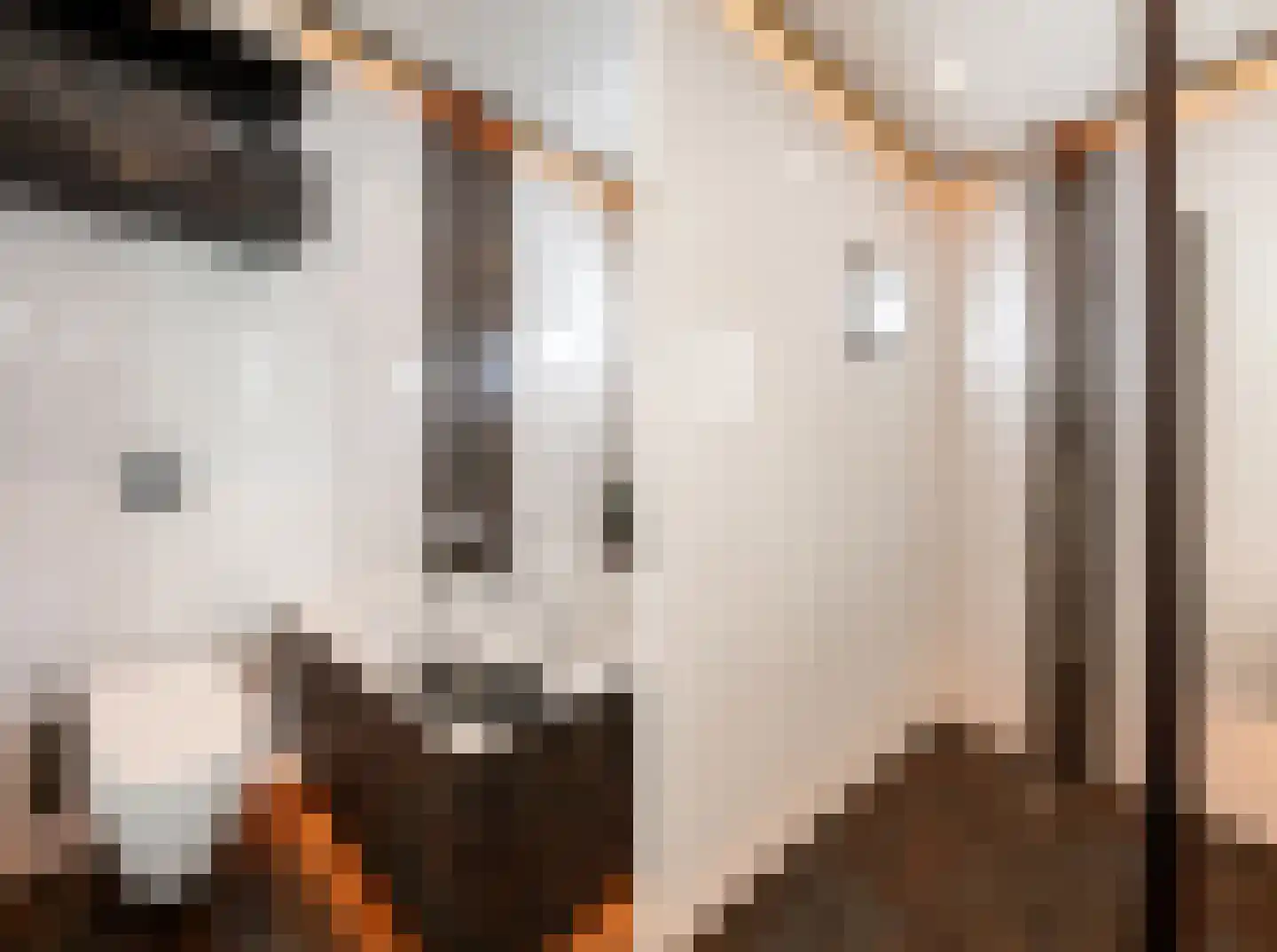 Rabarberveld 33 Berghem thumbnail 23