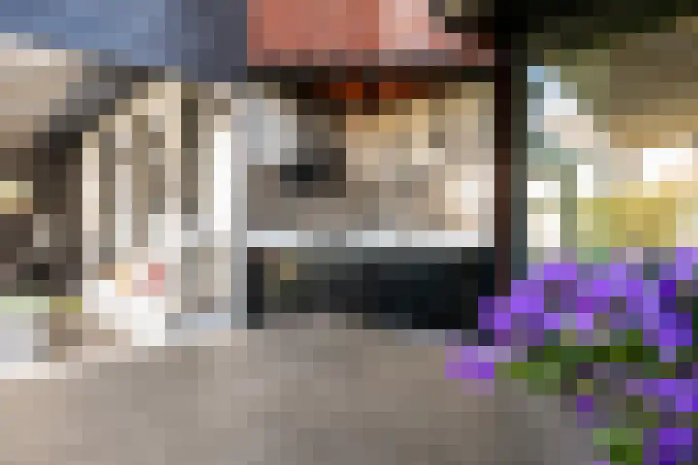 Rabarberveld 33 Berghem thumbnail 26