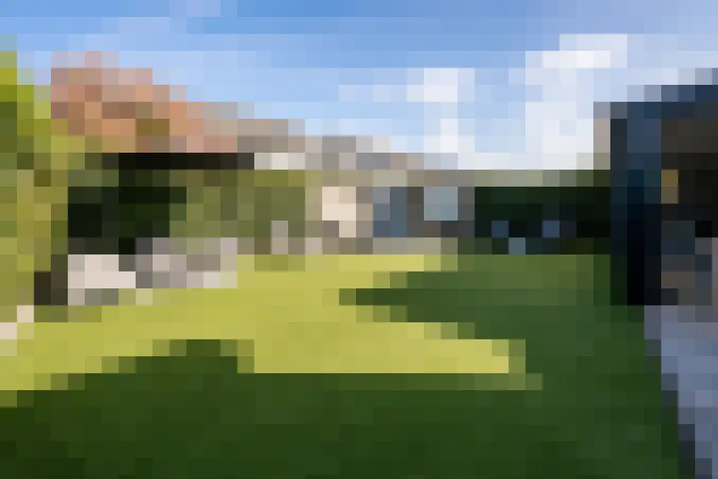 Rabarberveld 33 Berghem thumbnail 28