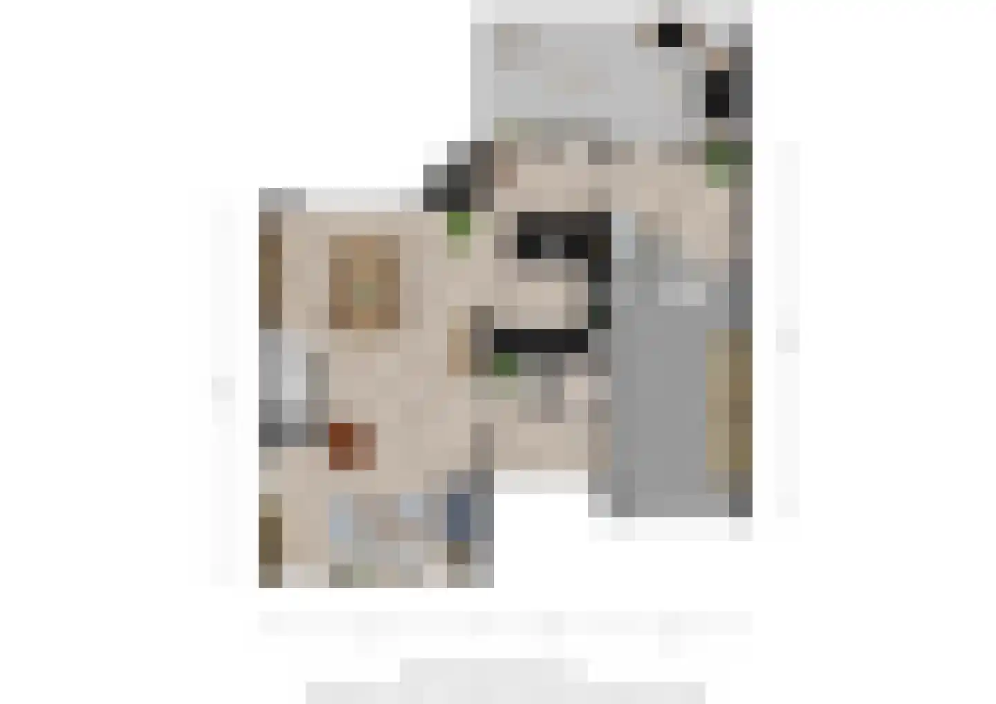 Rabarberveld 33 Berghem thumbnail 31