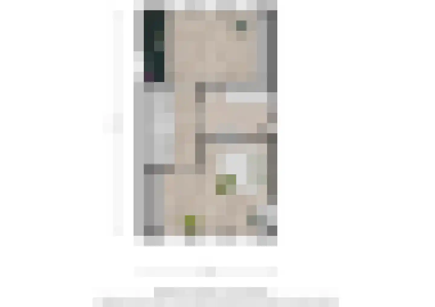 Rabarberveld 33 Berghem thumbnail 32
