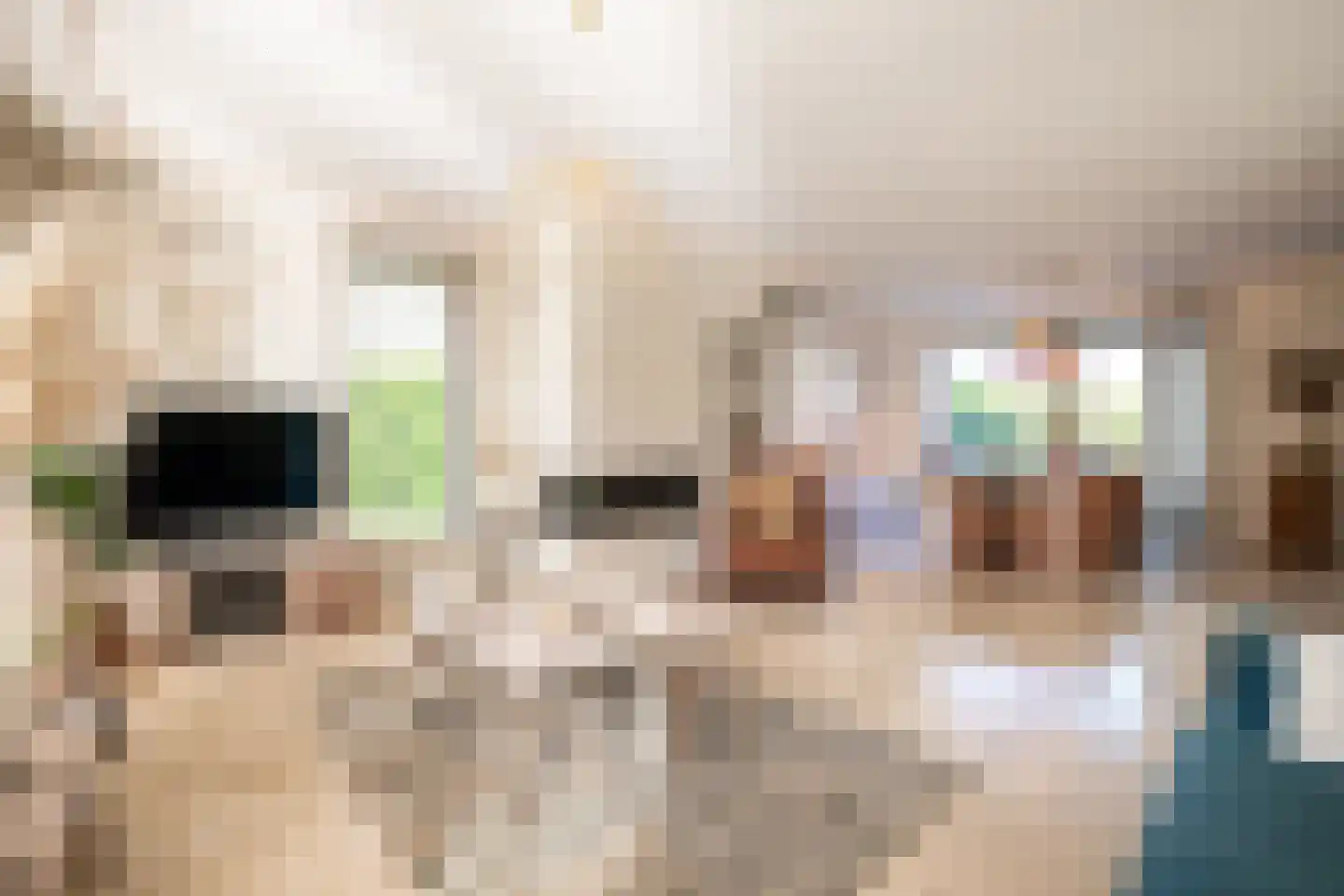 Rabarberveld 33 Berghem thumbnail 8