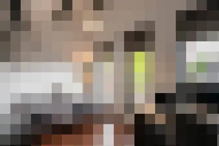 Rabarberveld 37 Berghem thumbnail 18