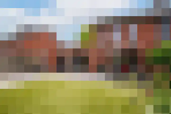 Rabarberveld 37 Berghem thumbnail 22