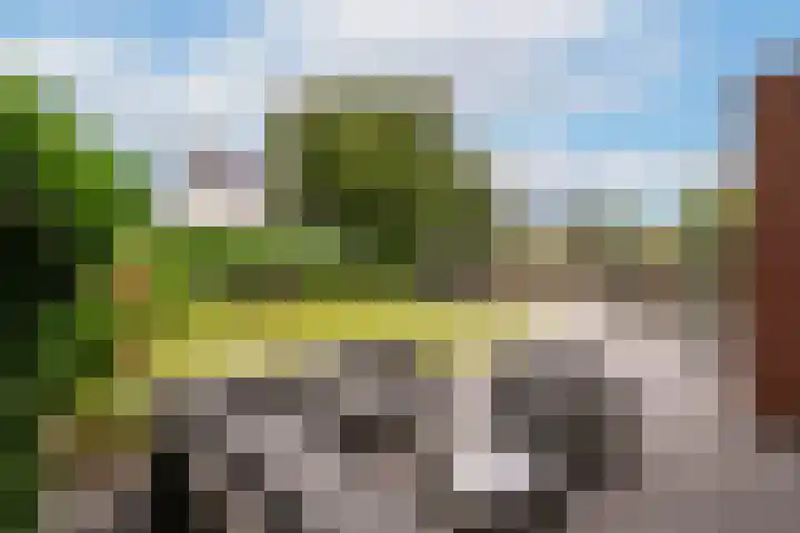 Rabarberveld 37 Berghem thumbnail 23