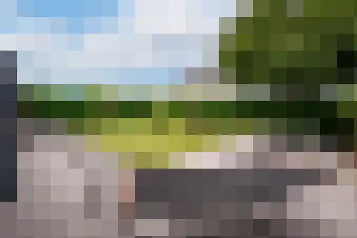 Rabarberveld 37 Berghem thumbnail 24