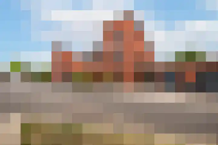 Rabarberveld 37 Berghem thumbnail 25