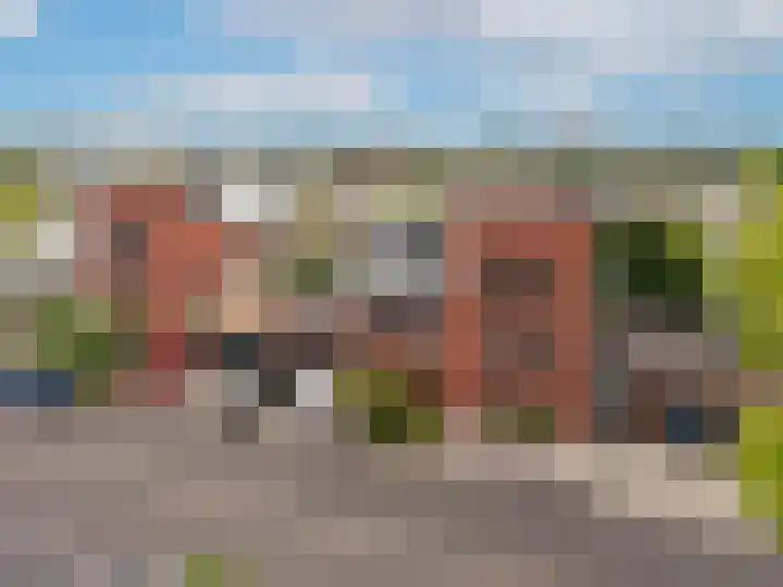 Rabarberveld 37 Berghem thumbnail 26