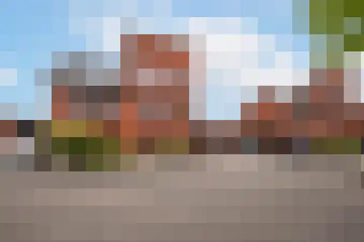 Rabarberveld 37 Berghem thumbnail 5