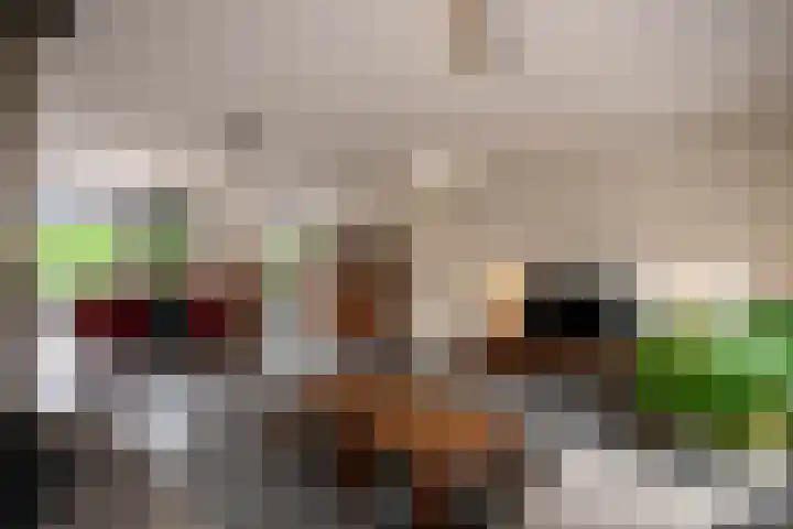 Rabarberveld 37 Berghem thumbnail 8
