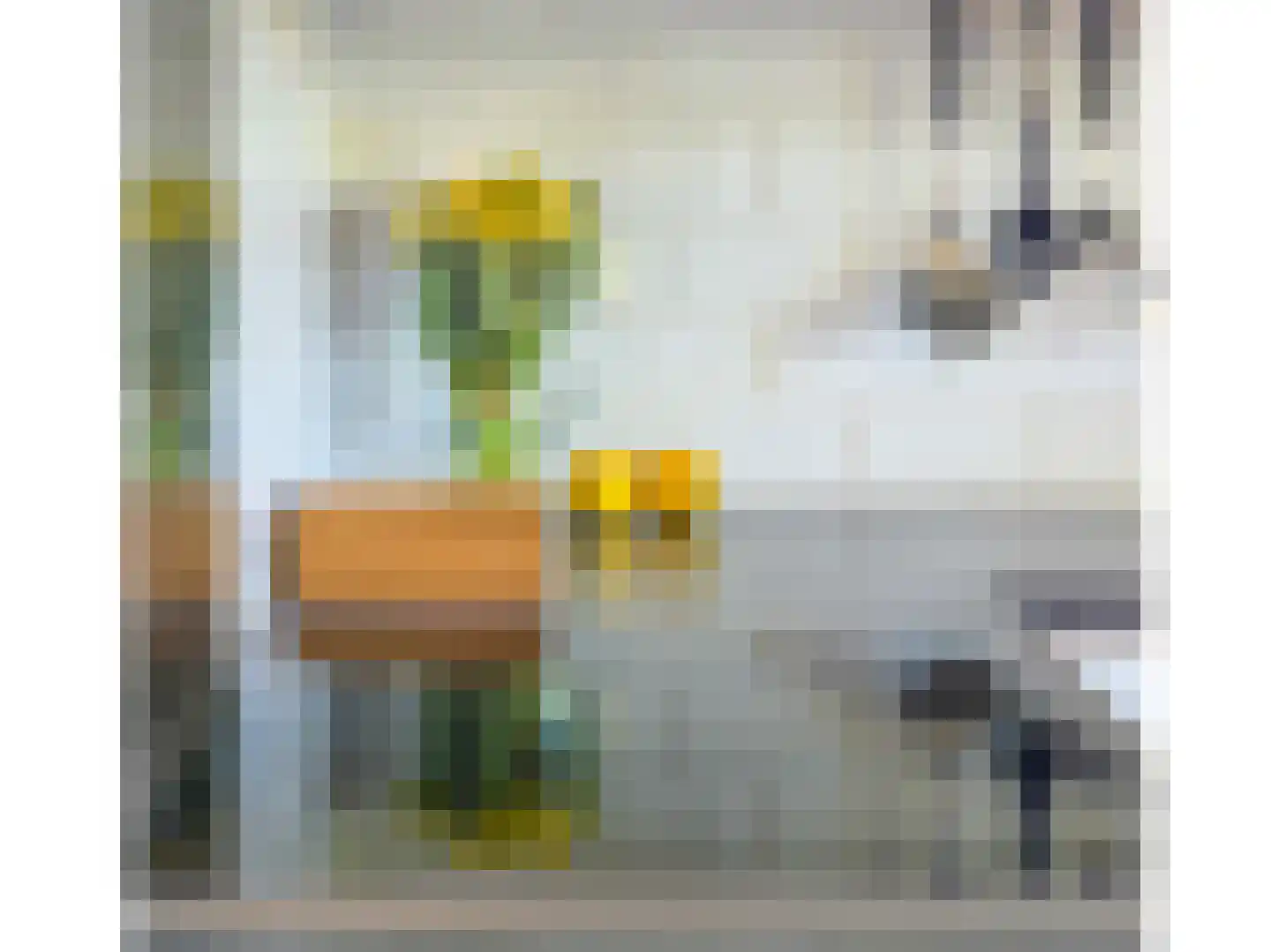 Rabatstraat 38 Hengelo thumbnail 51