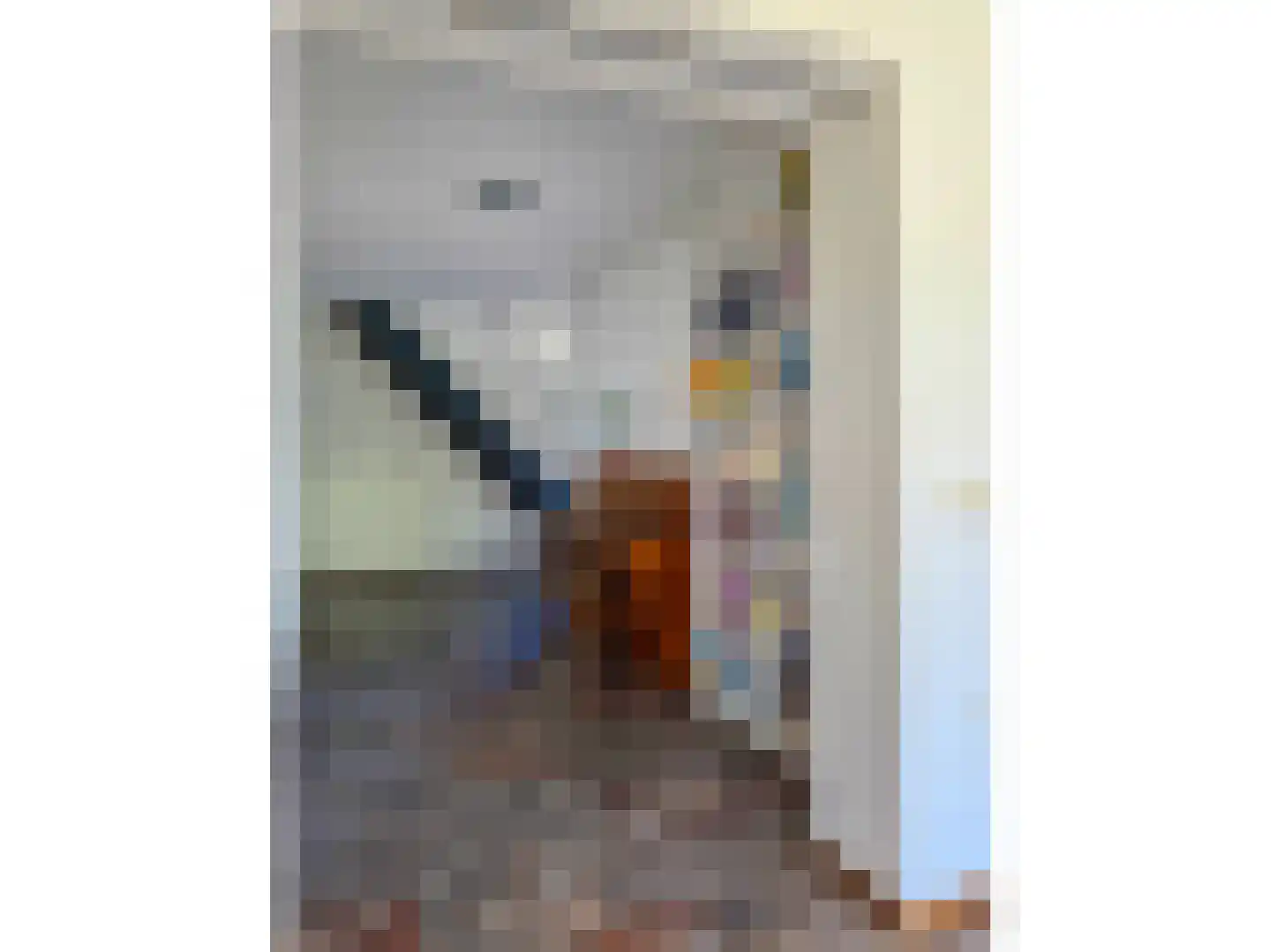 Rabatstraat 38 Hengelo thumbnail 60