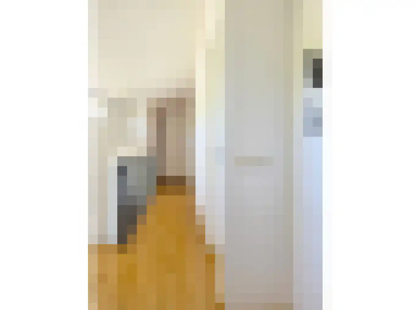 Rabatstraat 38 Hengelo thumbnail 71