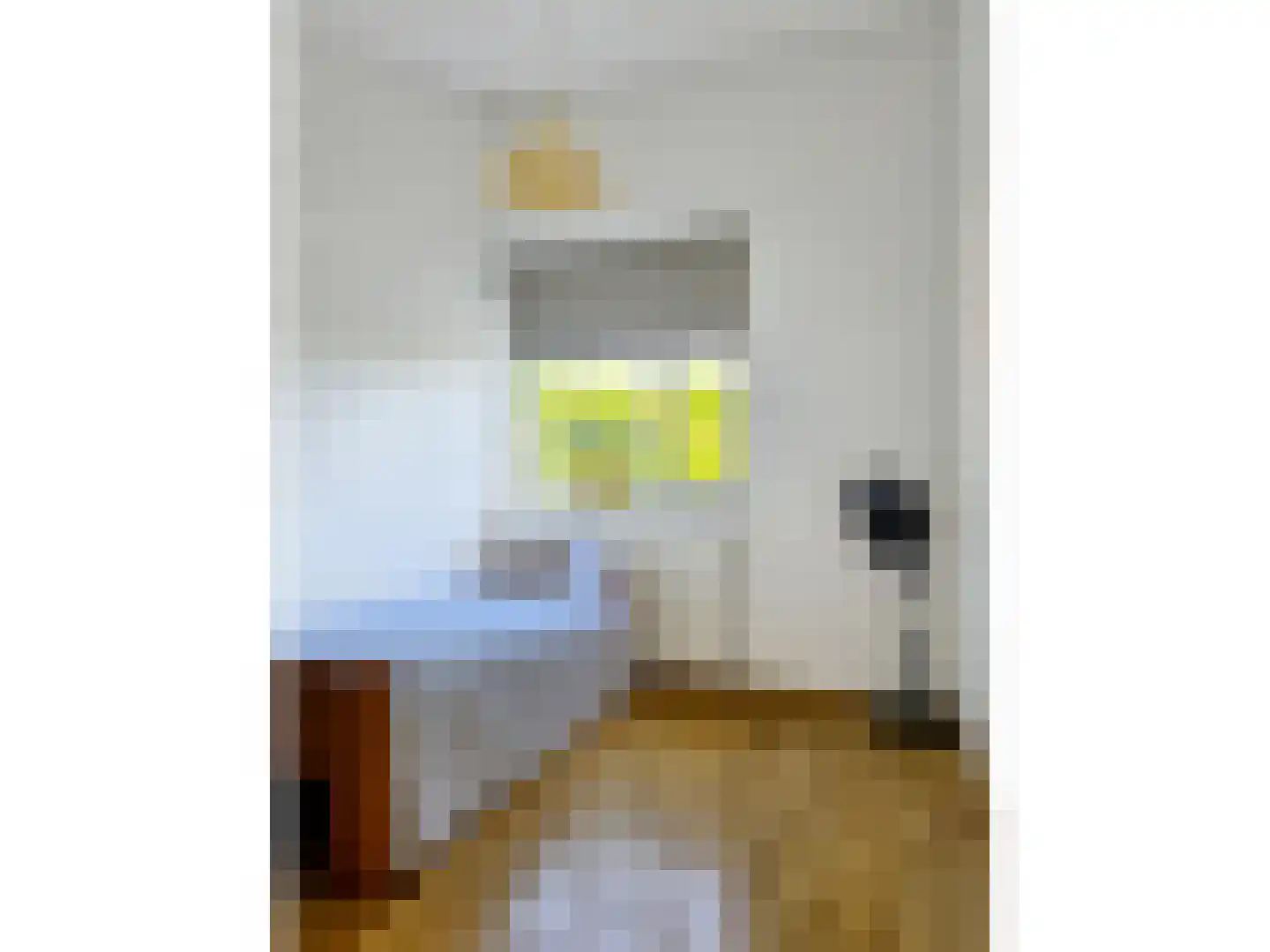 Rabatstraat 38 Hengelo thumbnail 83