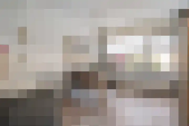 Rabbershoek 4 Broekland thumbnail 10