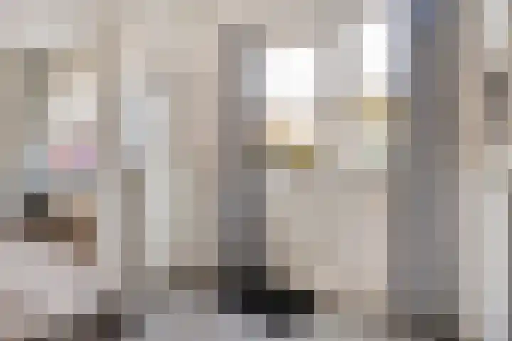 Rabbershoek 4 Broekland thumbnail 15