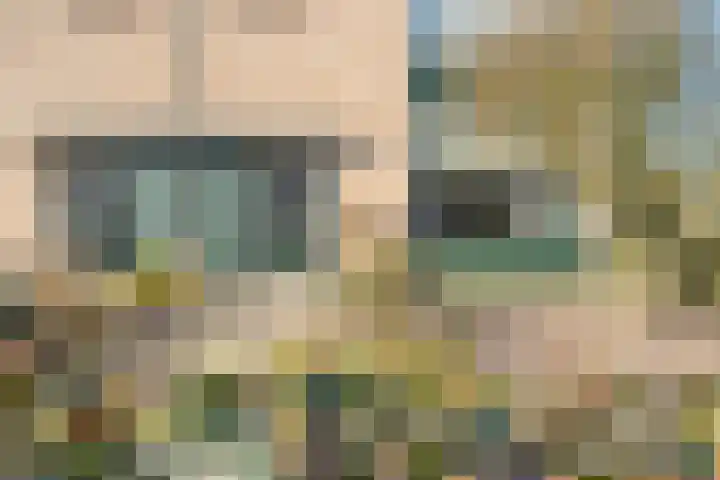 Rabbershoek 4 Broekland thumbnail 5