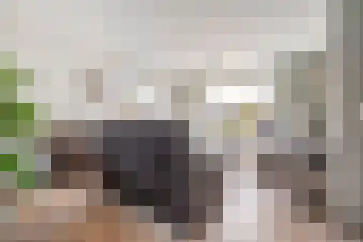 Rabbershoek 4 Broekland thumbnail 7