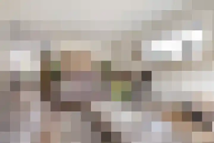 Rabbershoek 4 Broekland thumbnail 8
