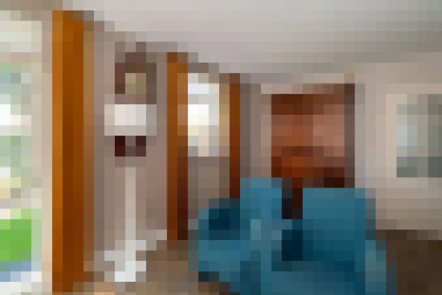 Rabbi Keizerstraat 2 Rijssen thumbnail 14