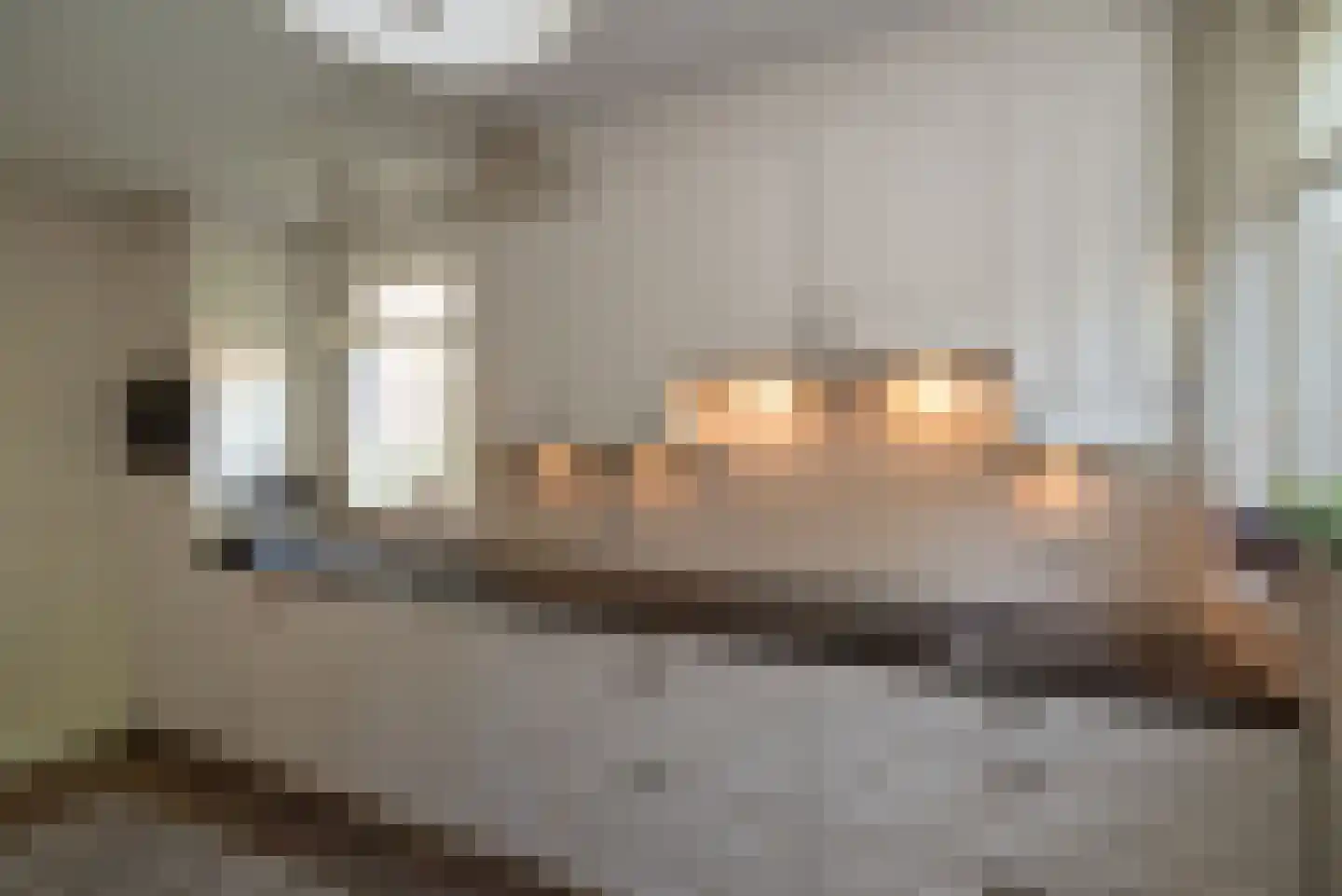 Rabbi Keizerstraat 2 Rijssen thumbnail 22