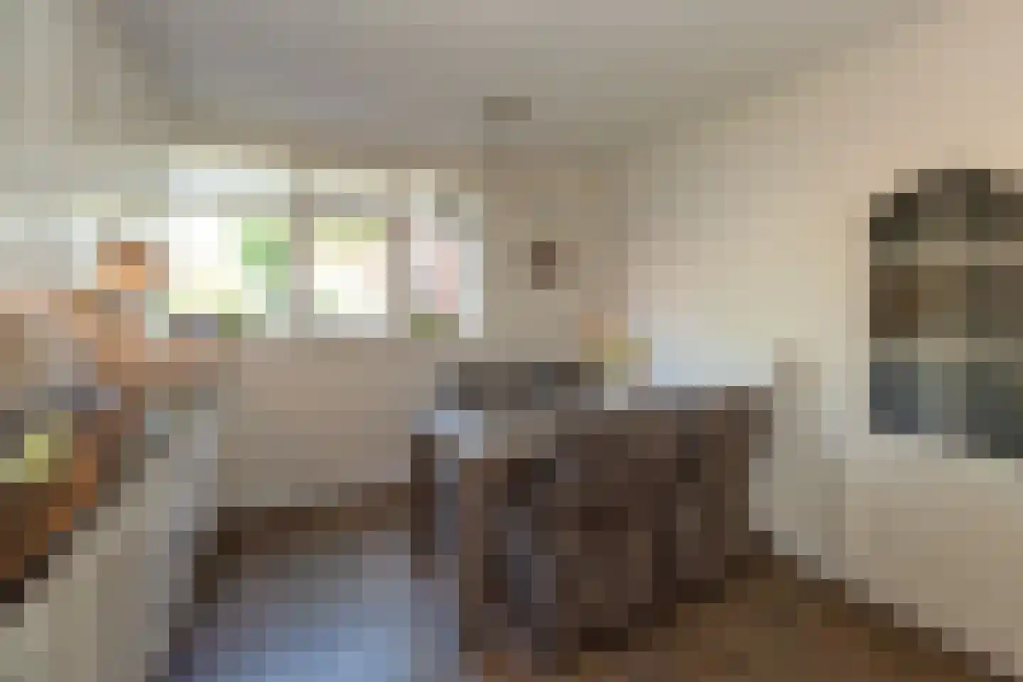 Rabbi Keizerstraat 2 Rijssen thumbnail 23