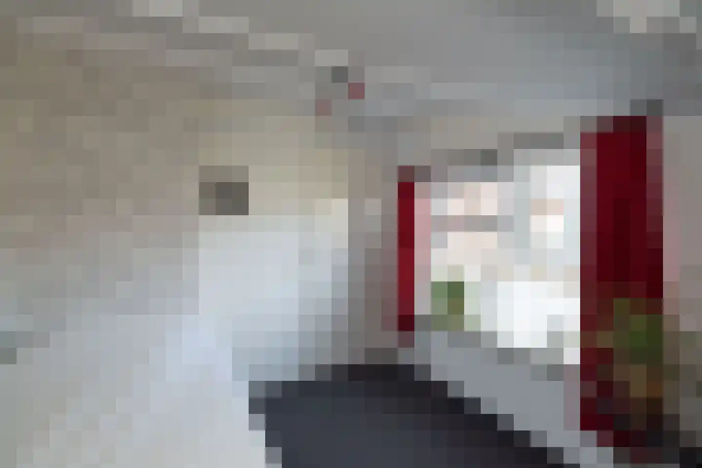 Rabbi Keizerstraat 2 Rijssen thumbnail 29