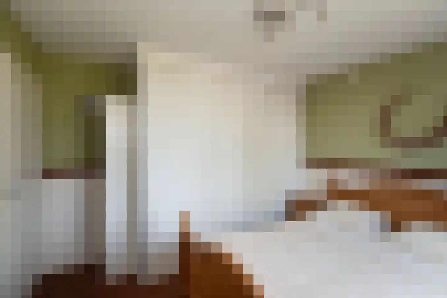 Rabbi Keizerstraat 2 Rijssen thumbnail 31