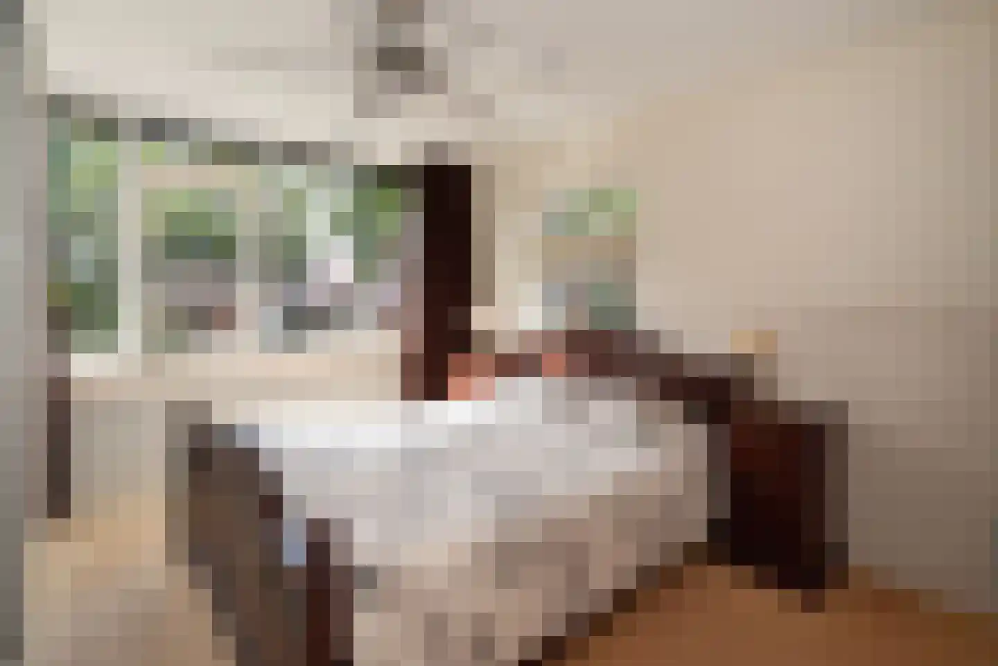 Rabbi Keizerstraat 2 Rijssen thumbnail 32