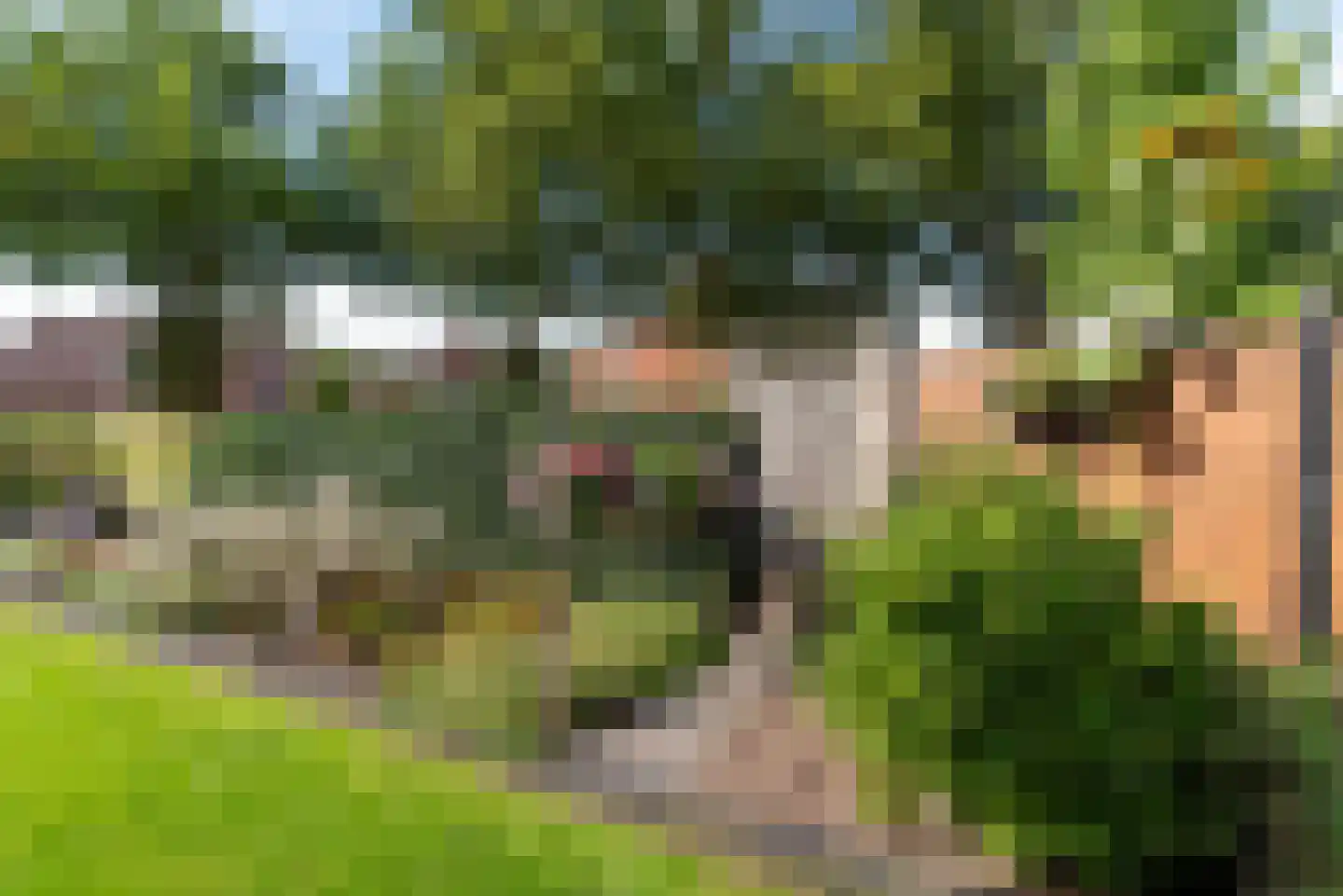 Rabbi Keizerstraat 2 Rijssen thumbnail 41