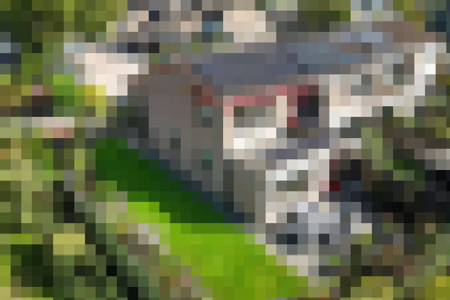 Rabbi Keizerstraat 2 Rijssen thumbnail 48