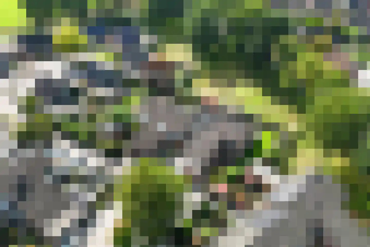 Rabbi Keizerstraat 2 Rijssen thumbnail 52