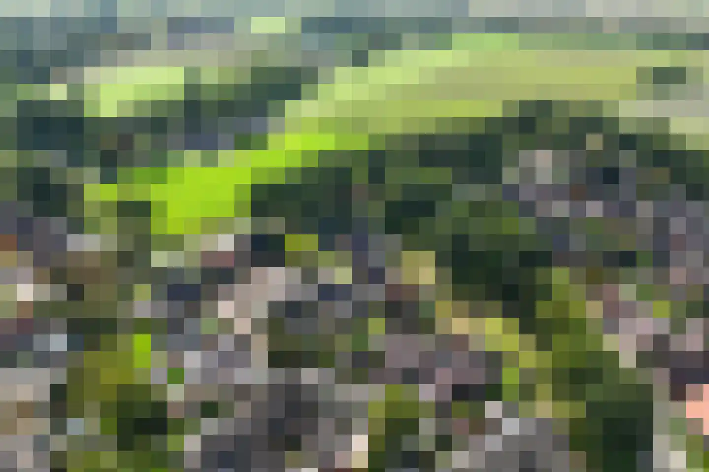 Rabbi Keizerstraat 2 Rijssen thumbnail 53