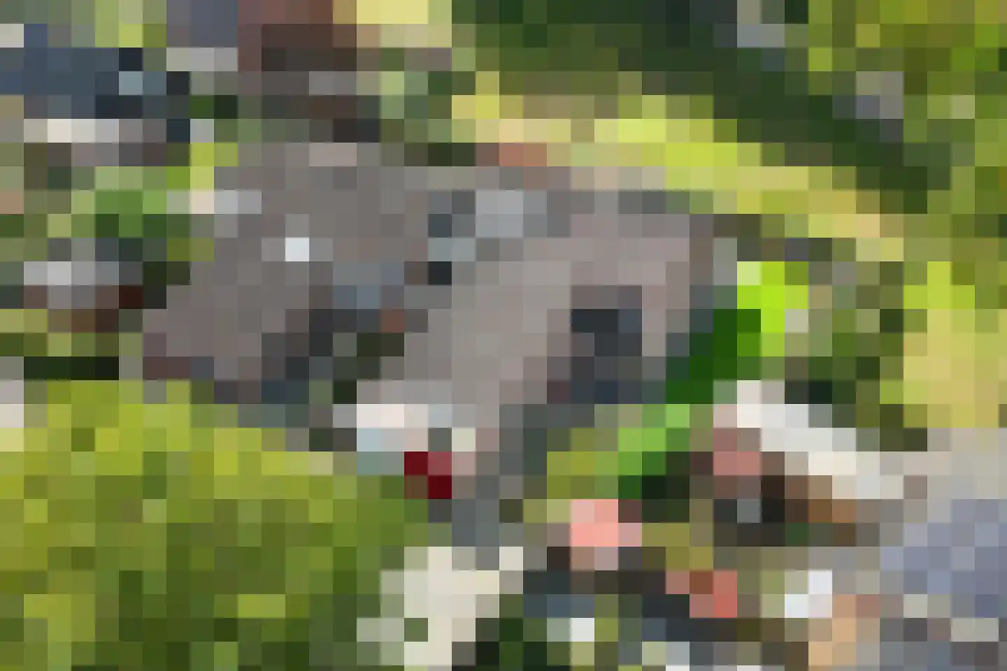 Rabbi Keizerstraat 2 Rijssen thumbnail 56