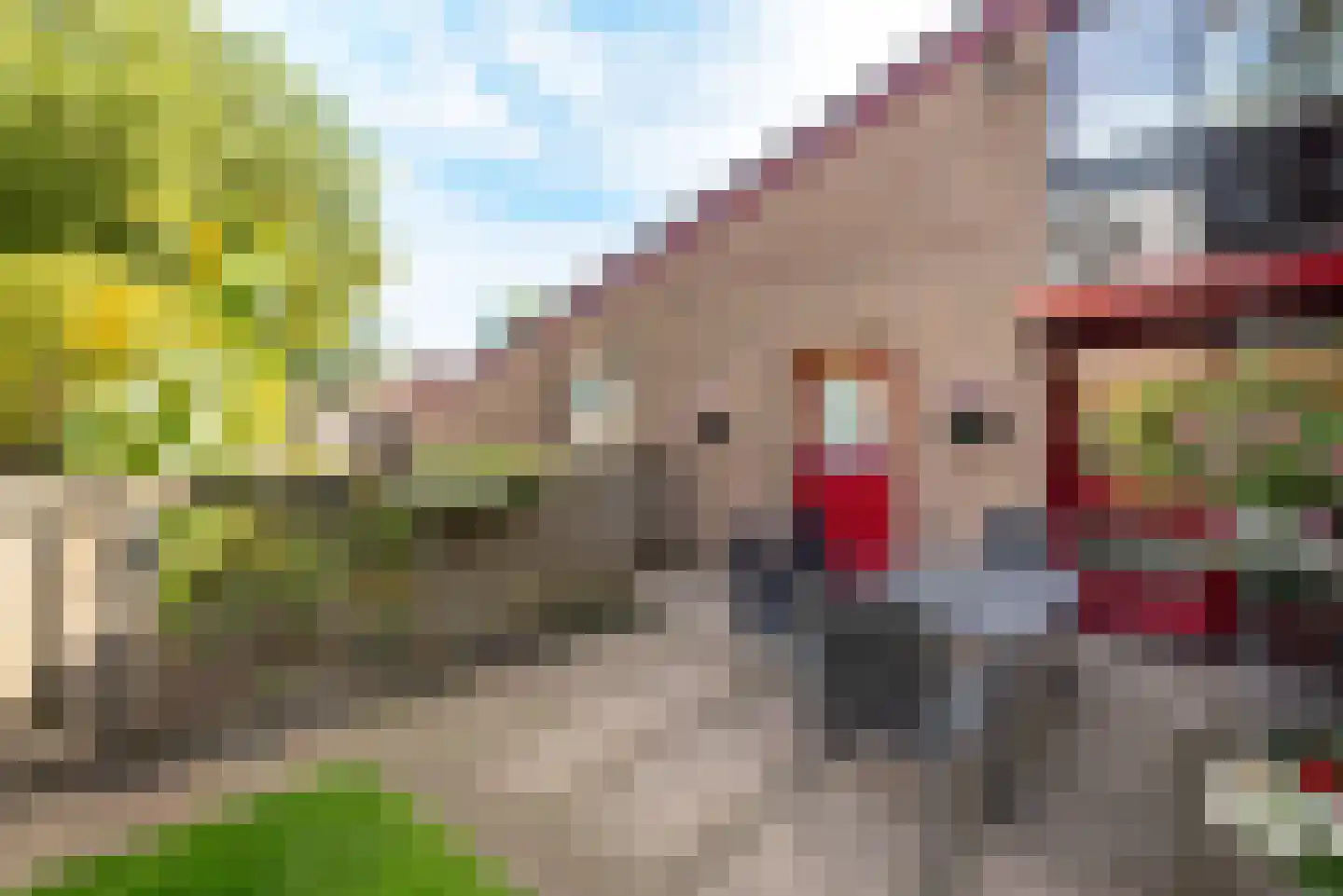 Rabbi Keizerstraat 2 Rijssen thumbnail 9