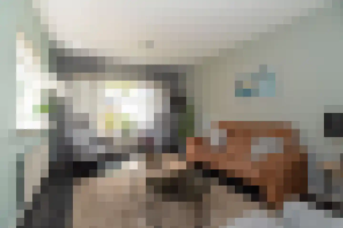 Rabbi Keizerstraat 25 Rijssen thumbnail 10